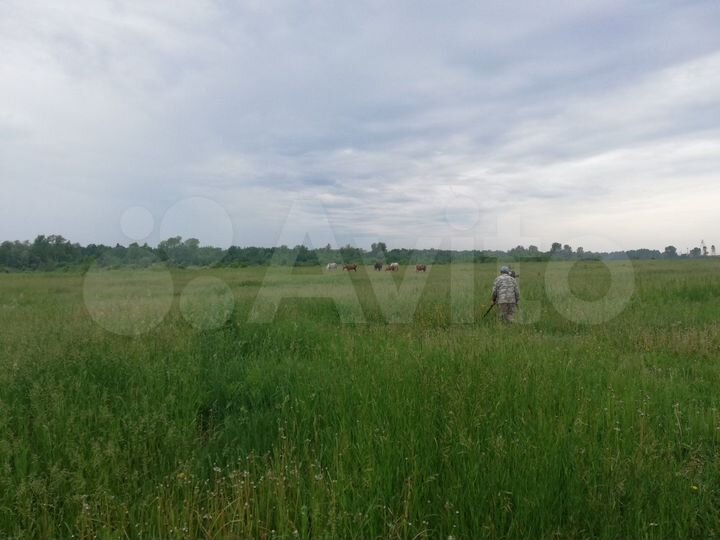 Участок 6 га (СНТ, ДНП)