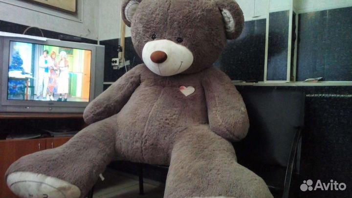 Большие плюшевые медведи