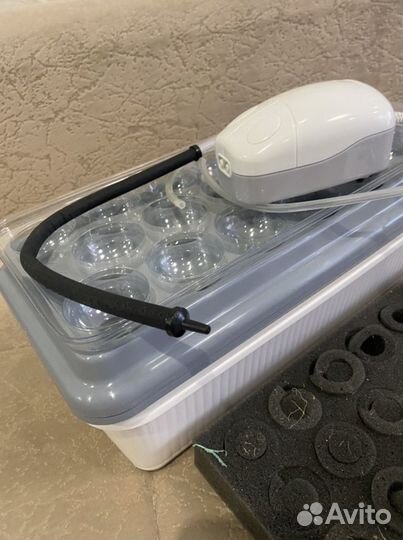 Домашняя « Чудо - грядка» (двойная)