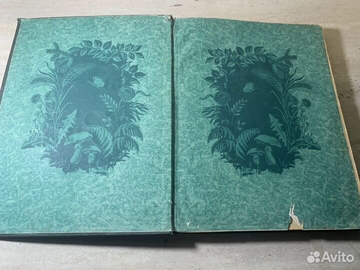 Ордена Ленина Ленинградский военный округ