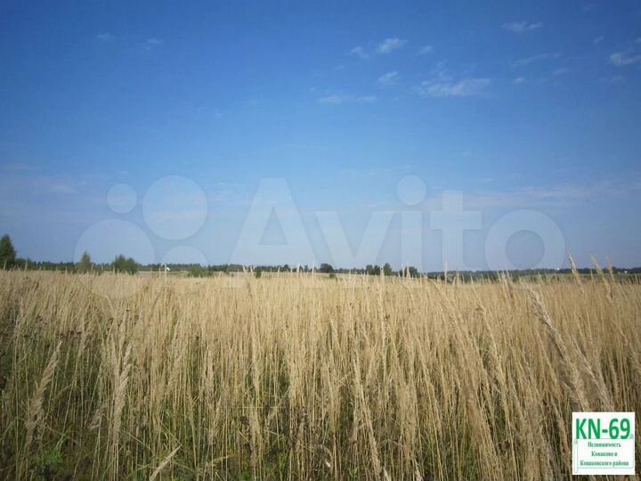 Участок 3,2 га (СНТ, ДНП)