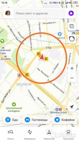 Выгул собак, зооняня