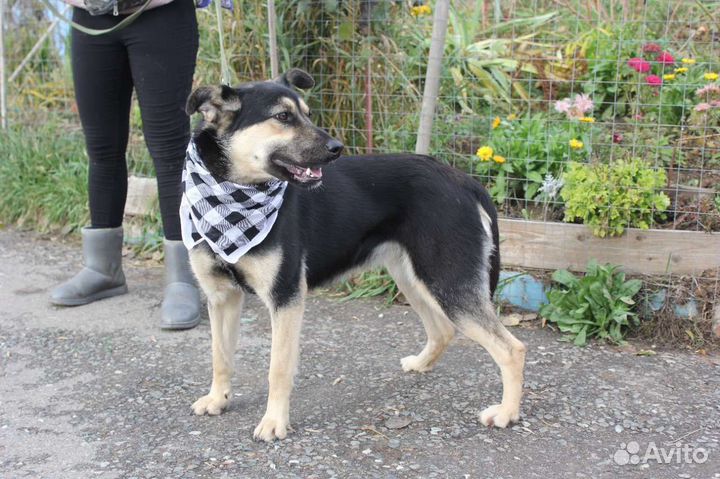 Малышка Рут ищет семью