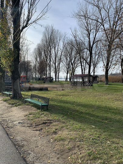 Участок 19,9 сот. (ИЖС)