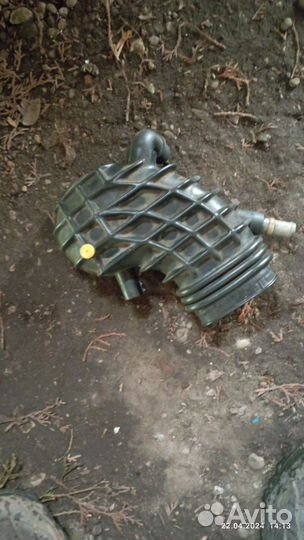 Продам черепаху ауди