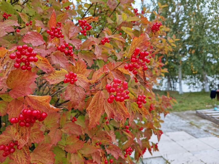 Дача 102,6 м² на участке 16 сот.