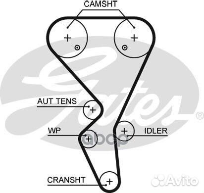 Зубчатый ремень привода грм PowerGrip 5581XS G