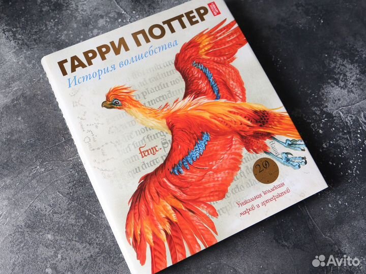 Гарри Поттер история волшебства