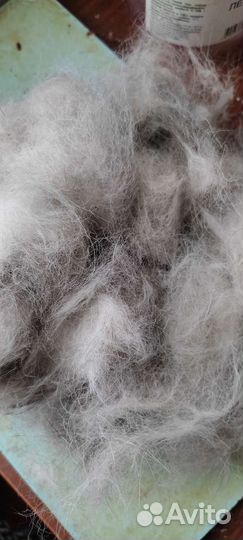 Собачий пух,шерсть,вычес