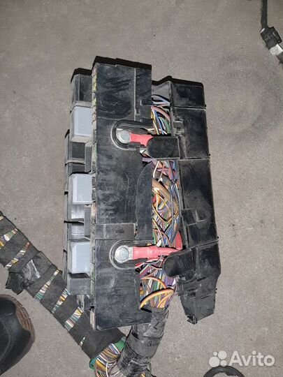 Главный жгут проводки Ford Transit 2.2 2015