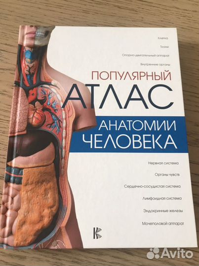 Обучающие развивающие книги