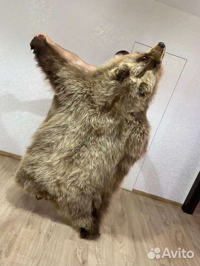 Имитация шкуры медведя
