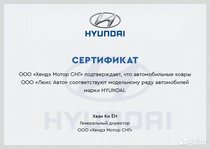 3D Коврики Hyundai Santa Fe из Экокожи