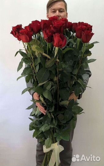 Розы гиганты 140 150 160 170 180 200