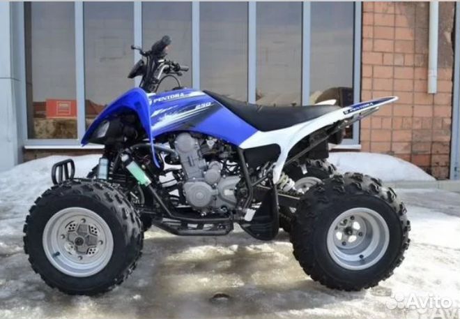 Квадроцикл Motoland ATV 250 S синий