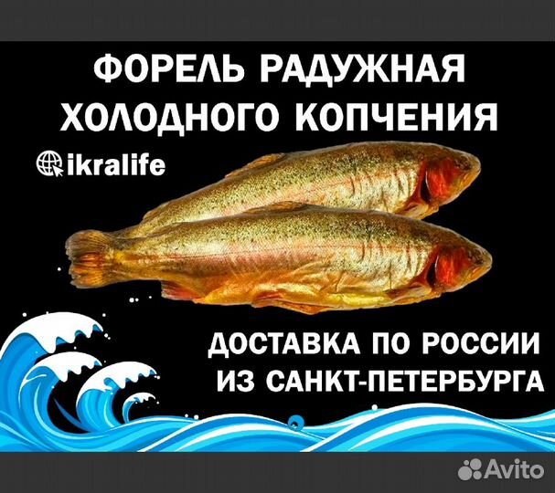Форель радужная холодного копчения балык. сдэк