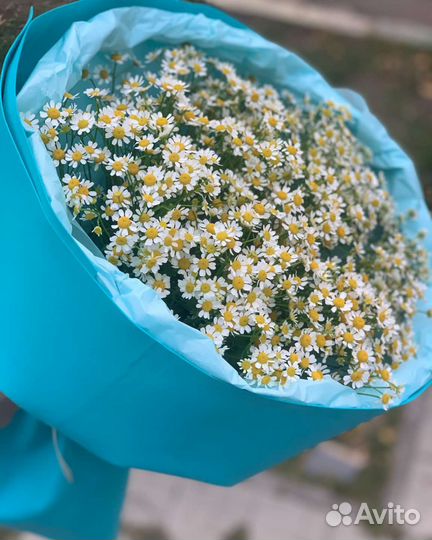Букеты из ромашек, срезанные цветы доставка