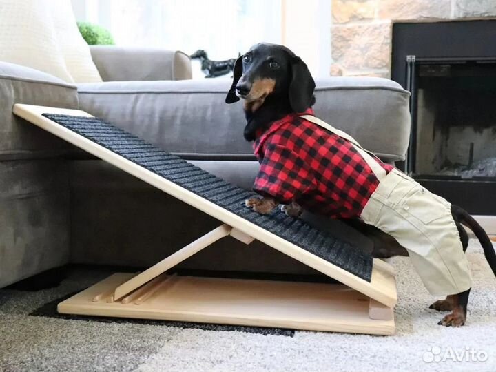 Лестница для собак