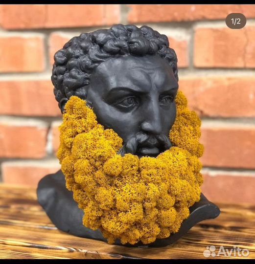 Кашпо со мхом