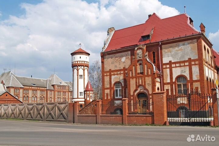 Калининград Топ-Экскурсия Калининградский микс. Эк