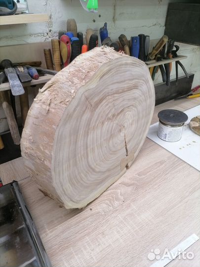 Спилы дерева. Карагач