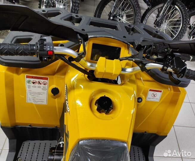 Квадроцикл Motoland Wild Track X 200