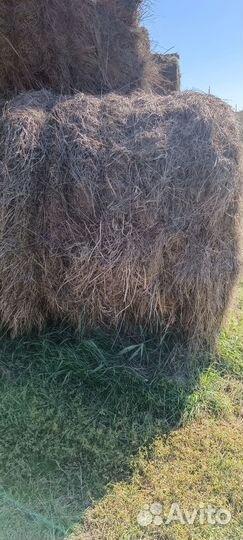 Сено в тюках