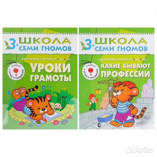 Полный годовой курс от 3 до 4 лет. 12 книг с играм