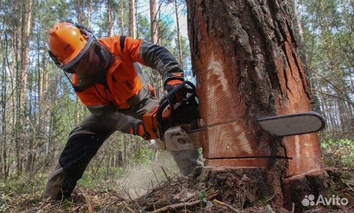 Вальщик леса