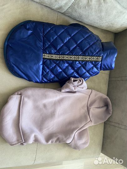 Зимний комбинезон для собаки