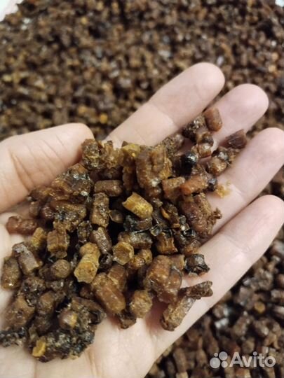 Перга пчелиная