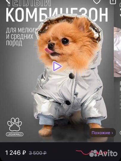 Зимний комбинезон для собаки размер s