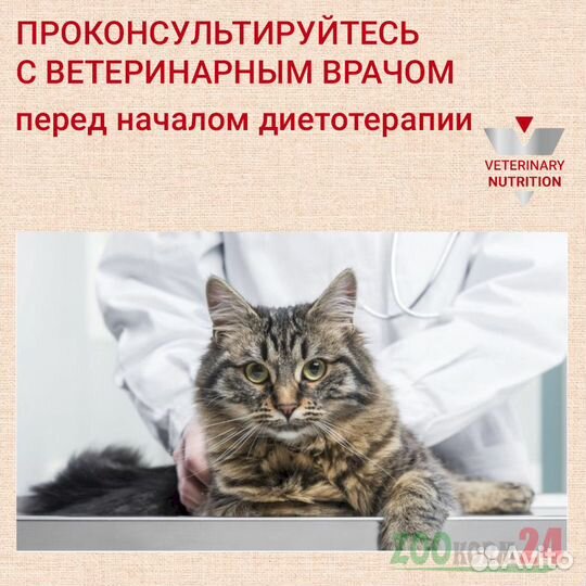 Корм Роял Канин болезни печени кошки (Hepatic)