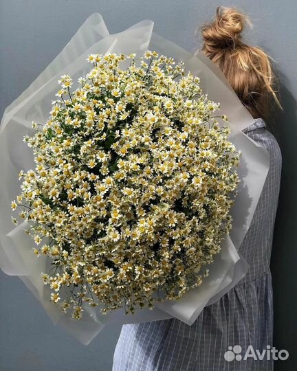 Букет ромашек