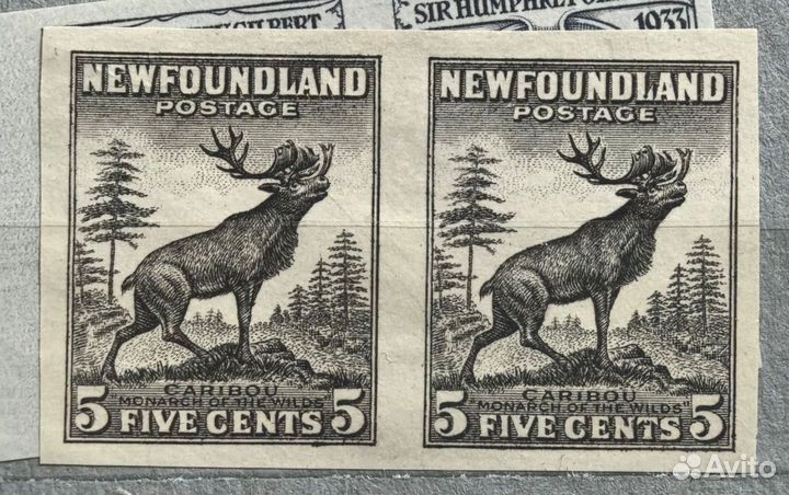 Редкие марки