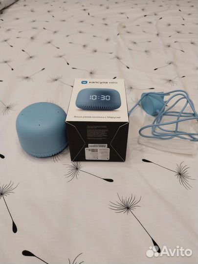 Капсула Маруся Нео