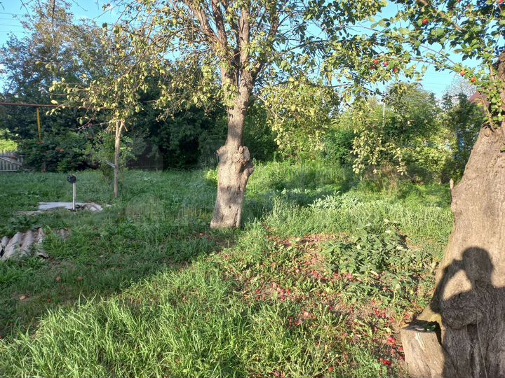 Дом 32 м² на участке 35,6 сот.