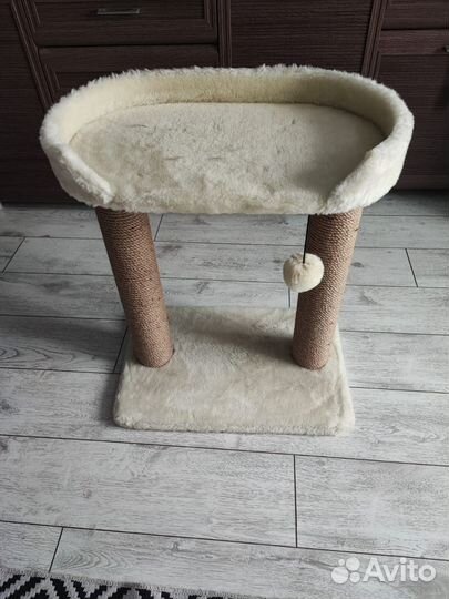 Когтеточка