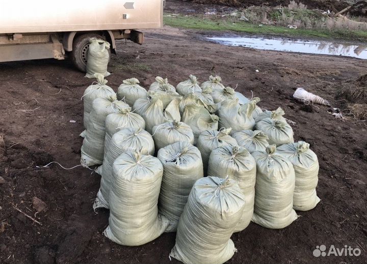 Навоз перегной