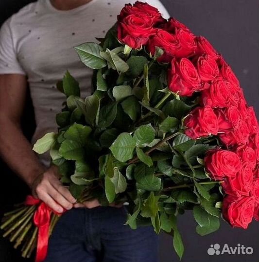 Высокие розы