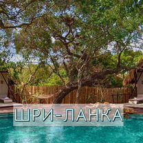 Купить билеты в Абазе: путешествия, концерты, кино, театры