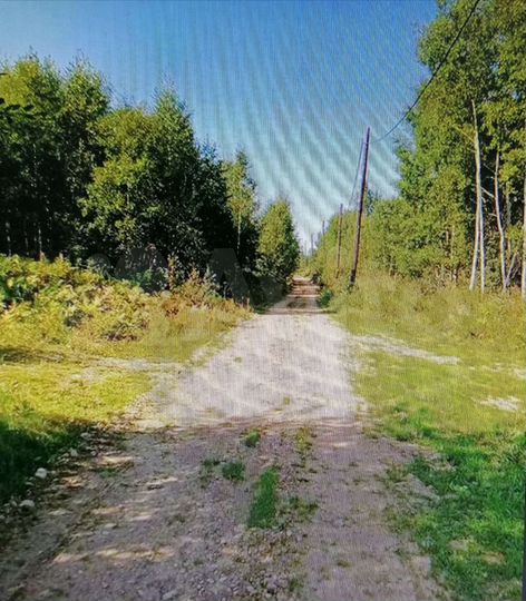 Участок 10 сот. (СНТ, ДНП)