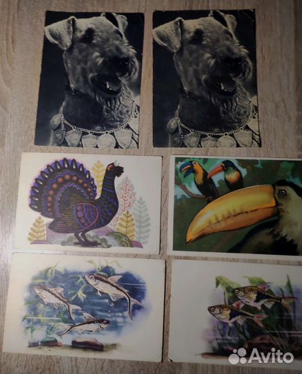 Открытки советские СССР 60-80х годов