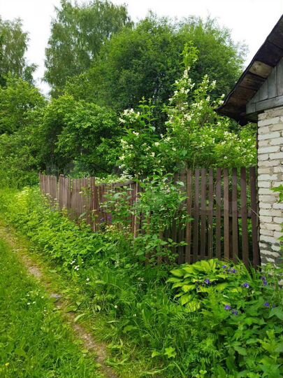 Дача 30 м² на участке 8 сот.