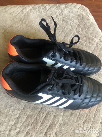 Сороконожки