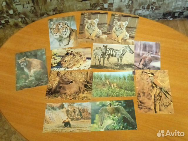 Открытки советские СССР