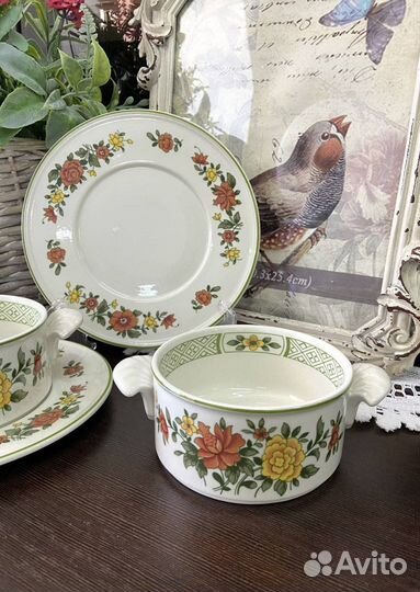 Бульонные пары Villeroy&Boch Summerday