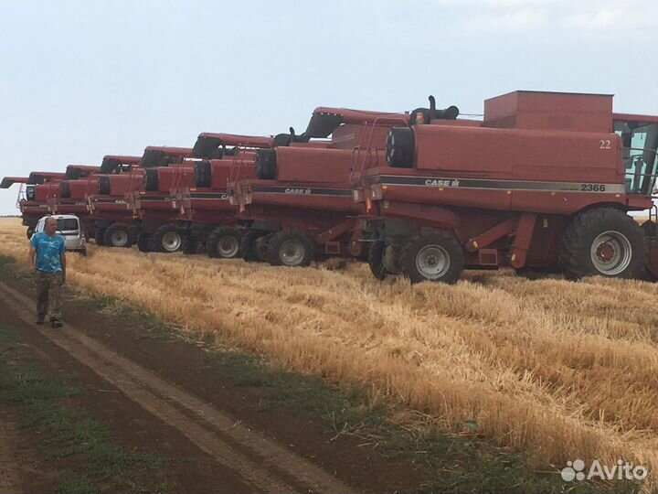 Уборка урожая