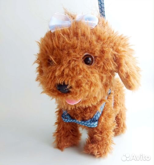 Поводок шлейка для кошек собак кроликов