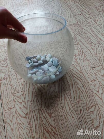 Шар аквариум и ракушки